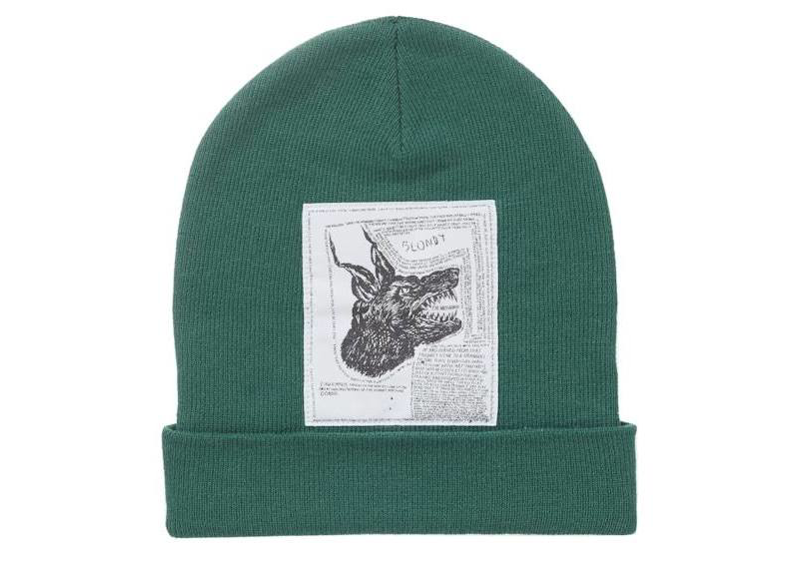 Supreme X The North Face Beanie Green