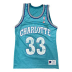 Vintage Alonzo Mourning Hornets Jersey