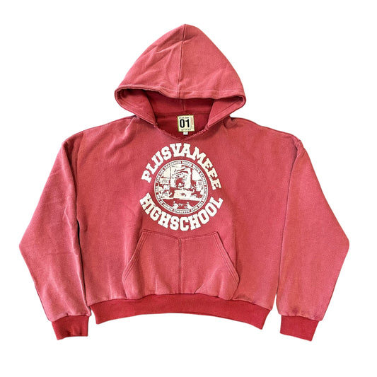 NEW Plus One x Vameee HS Red Hoodie