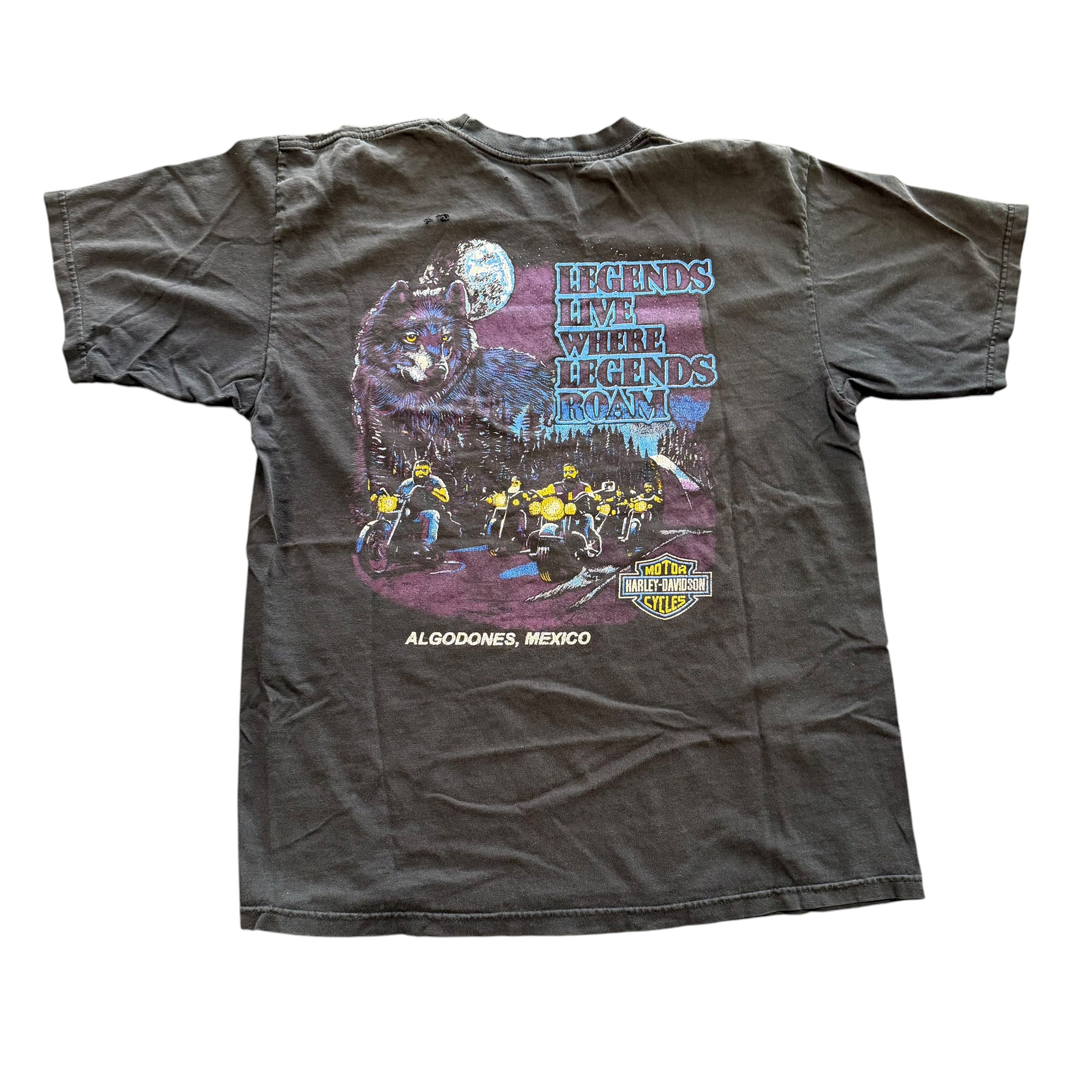 Vintage Harley Davidson Mexico Shirt