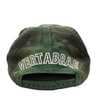 Vertabrae Washed Green Snapback