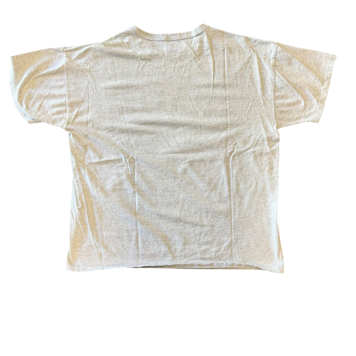 Vintage Princeton Grey Tee