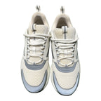 Dior B22 White/Grey