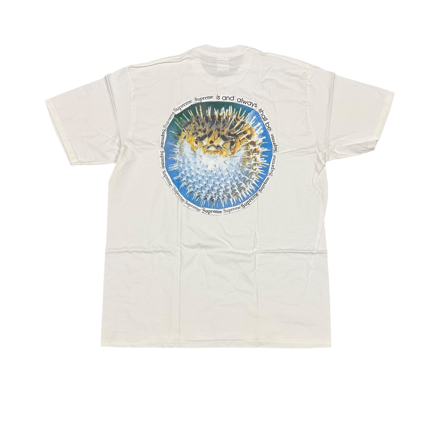 Supreme Blowfish Tee 'Ash Grey'