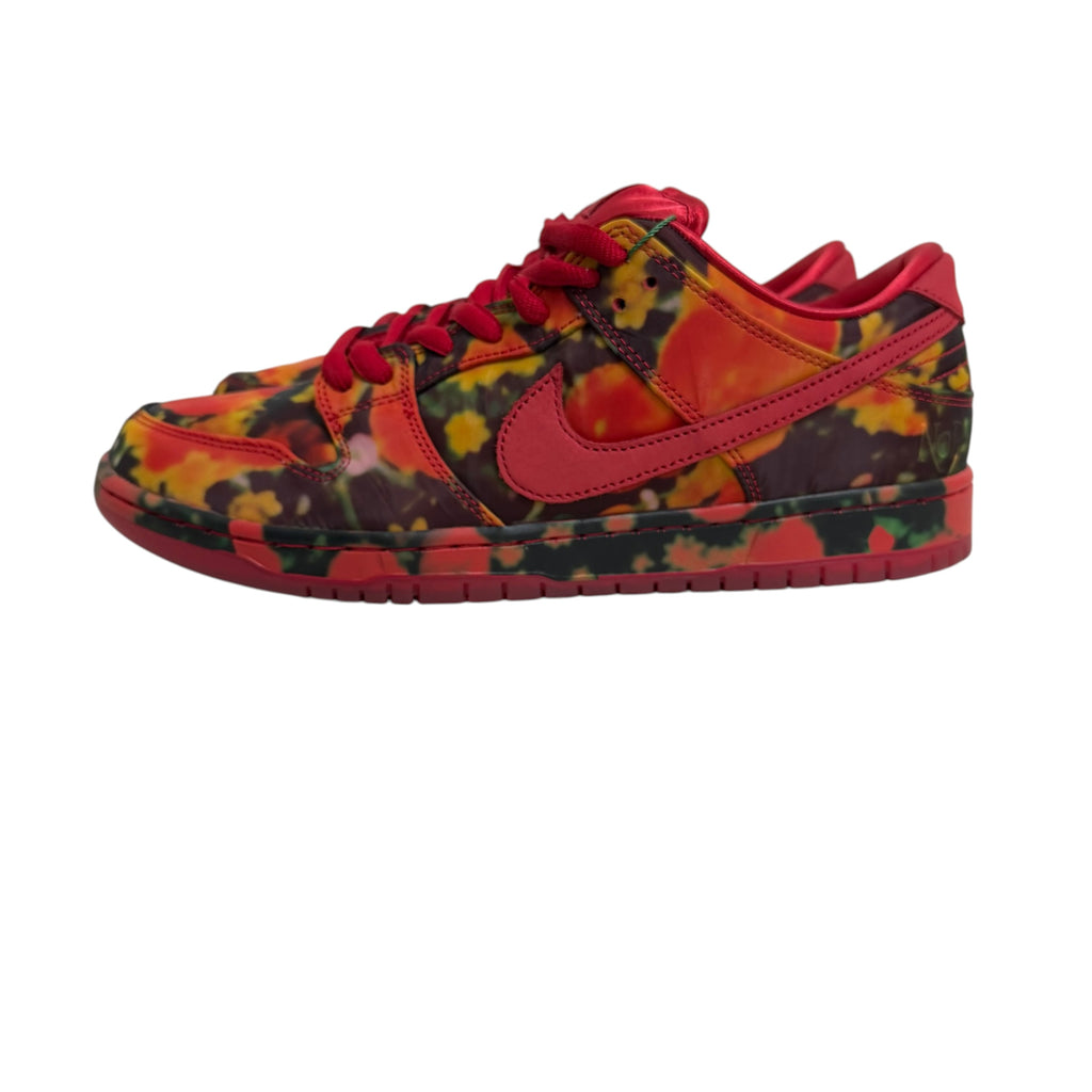 Nike SB Dunk Low Pro "The Wizard of Oz"