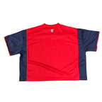 GV Gallery Raspberry Hills RO3 Jersey