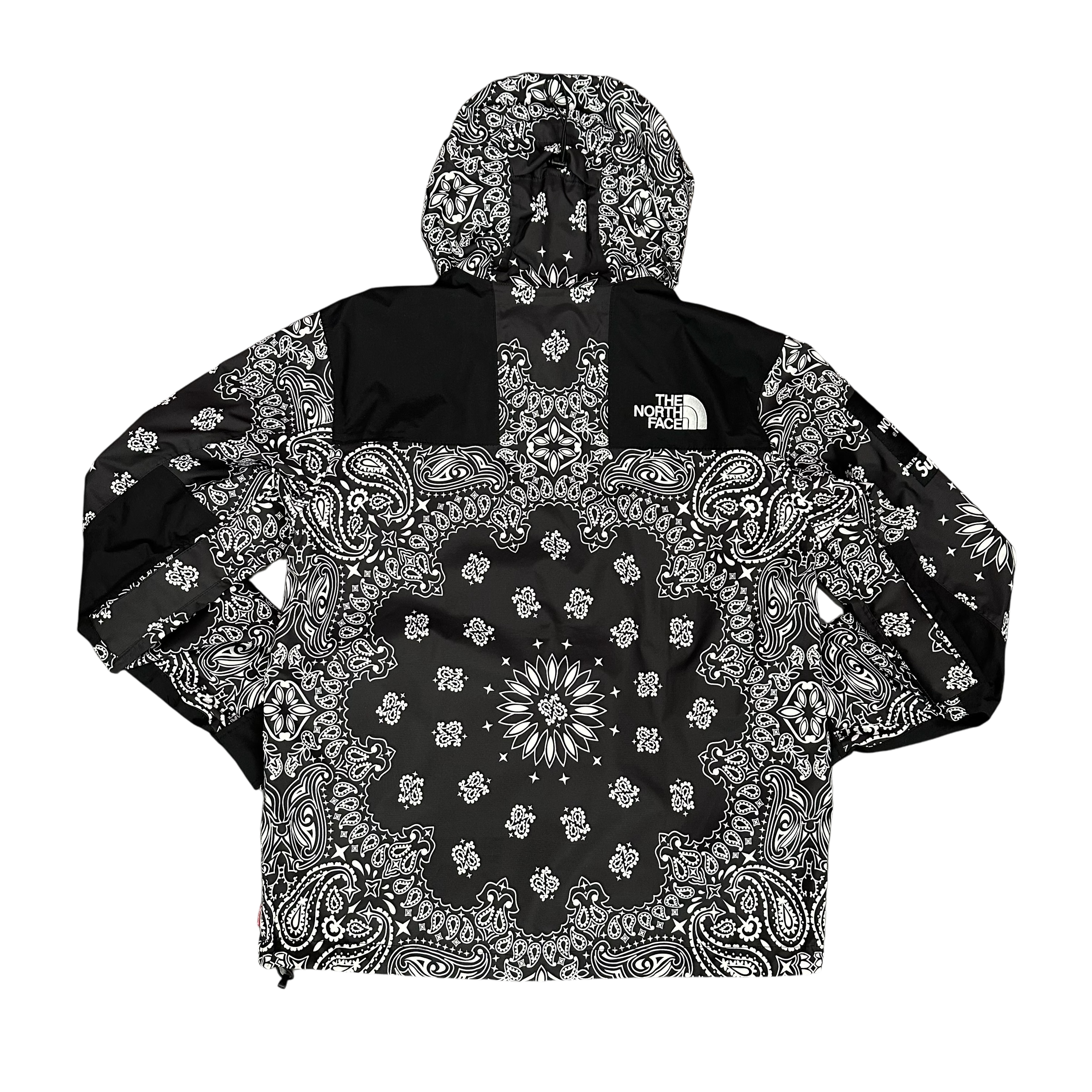Supreme x North Face Bandana Mountain Parka