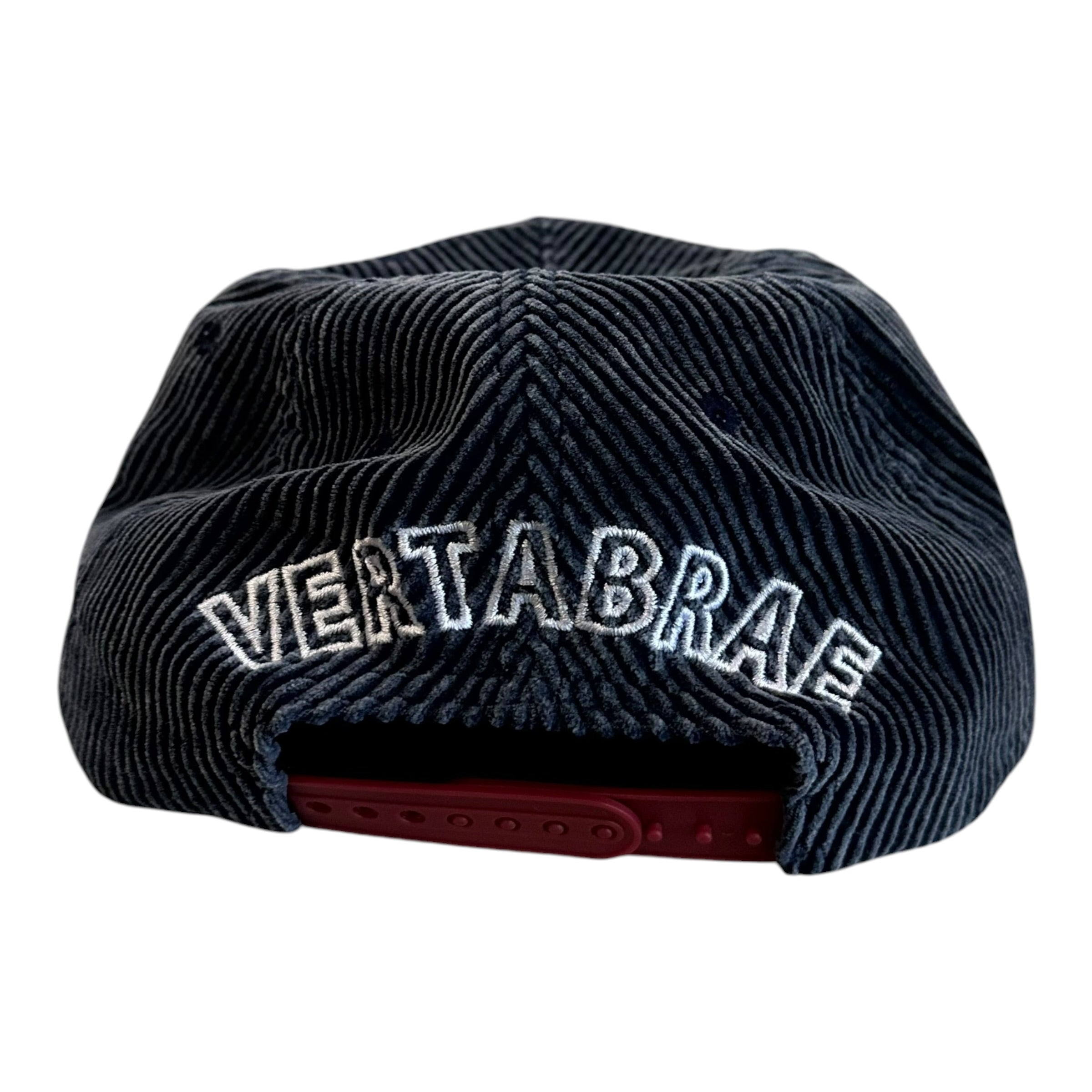 Vertabrae Red/Blue Hat