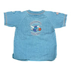 Vintage Starter CH Hornets Baseball Jersey