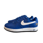 Brand New Victor Victor x Nike AF1 “Blue”
