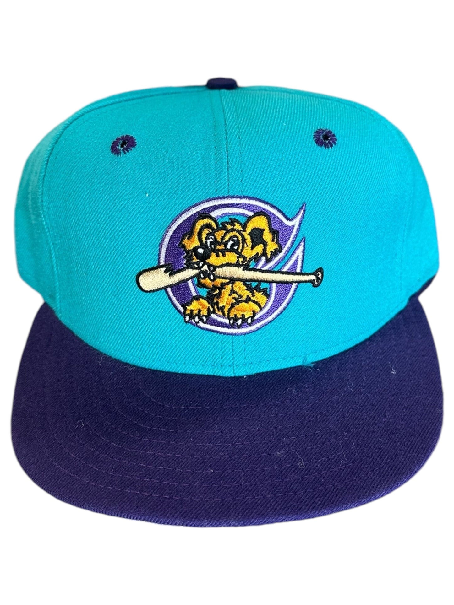 Charleston RiverDogs Vintage Fitted Hat