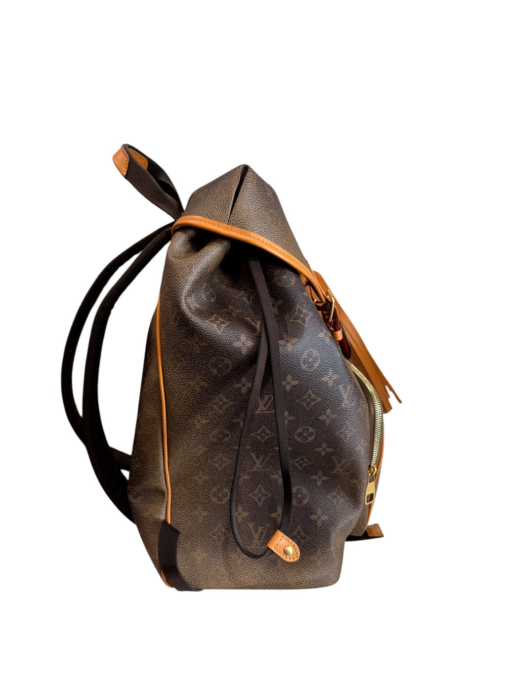 Brand New Louis Vuitton Montsouris Backpack FW24(No Box or Accessories)