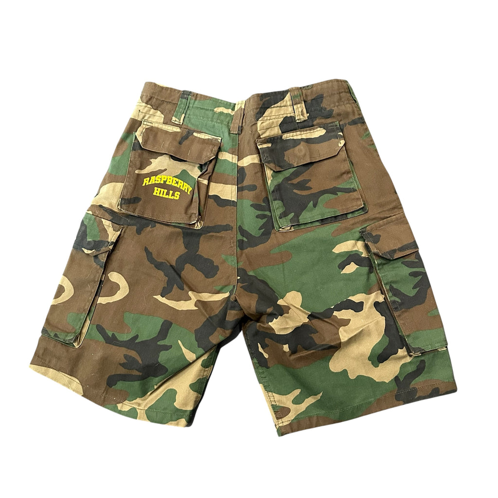 Brand New GV Gallery Camo Shorts