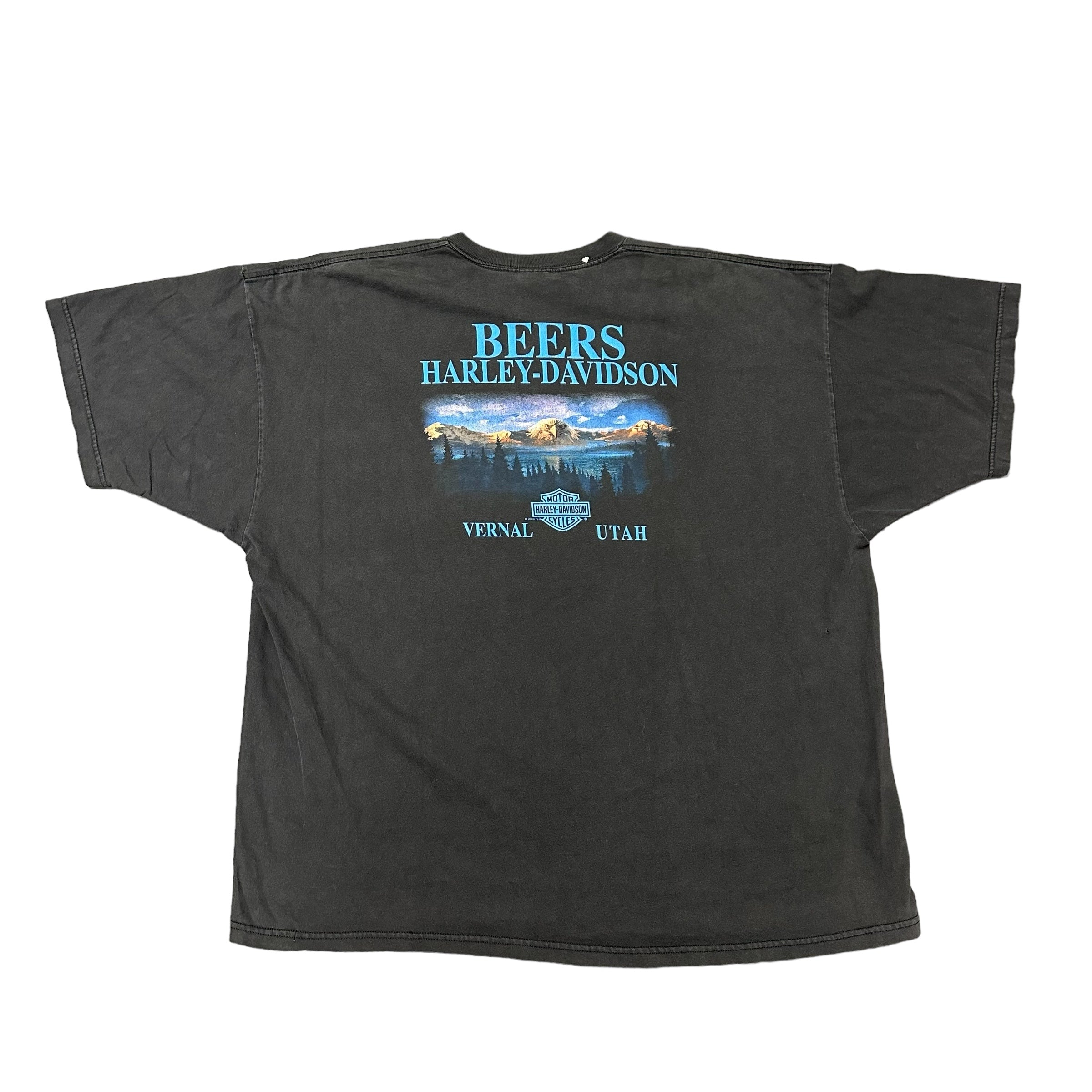 2000 Harley Davidson Purple Eagle Flame Tee