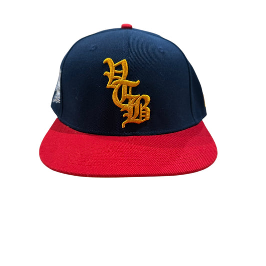 Vertabrae Navy/Red Fitted Hat