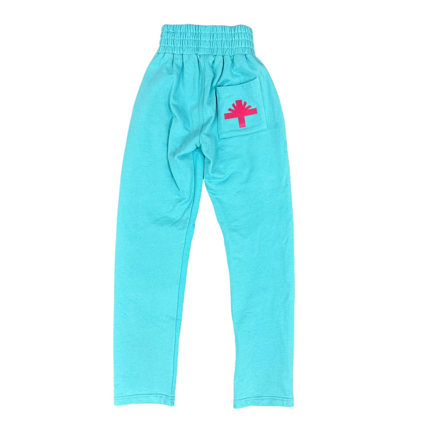 Blue/Pink Vertabrae Sweatpants