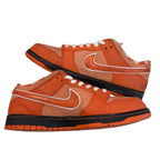 Nike SB Dunk Low “Orange Lobster” (No Box)